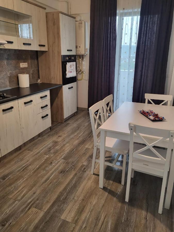 Râmnicu VâlceaApartament Dem Radulescu公寓 外观 照片